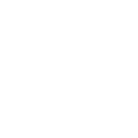 Bloom logo